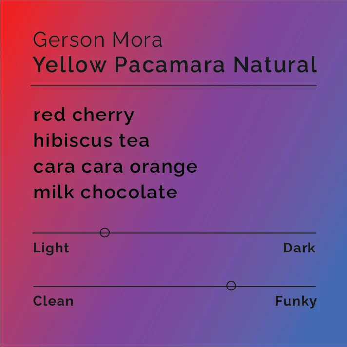 Gerson Mora – Yellow Pacamara Natural packaging